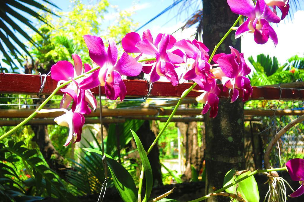 Kampot Guesthouse Exterior foto